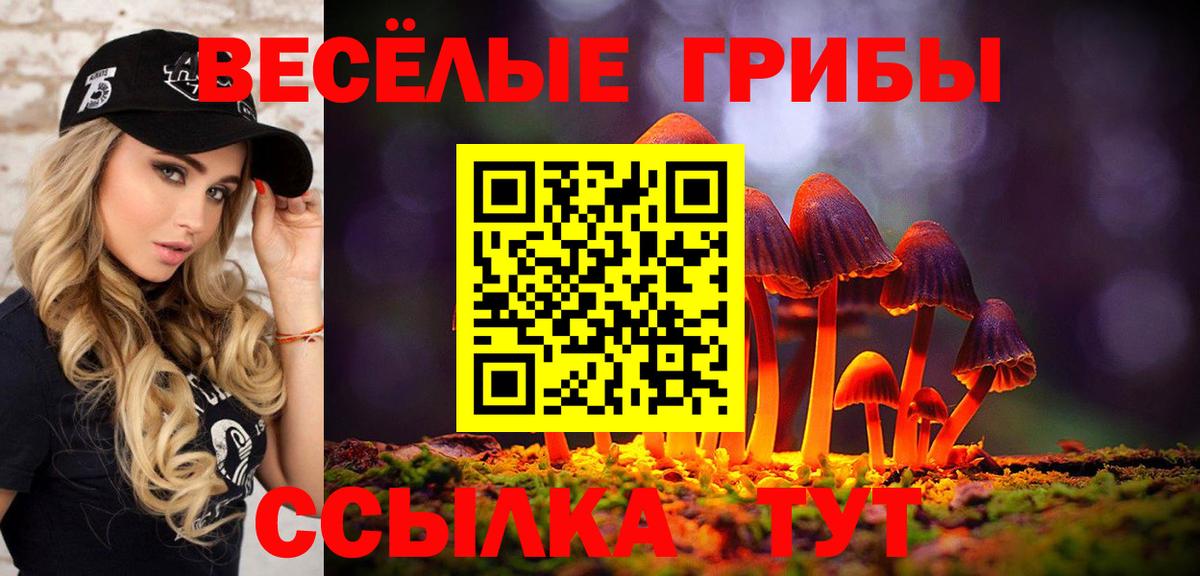 Галлюциногенные грибы Cubensis Ефремов