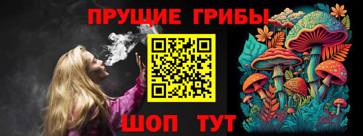 Ефремов  Псилоцибиновые грибы мицелий  Вход с VPN 